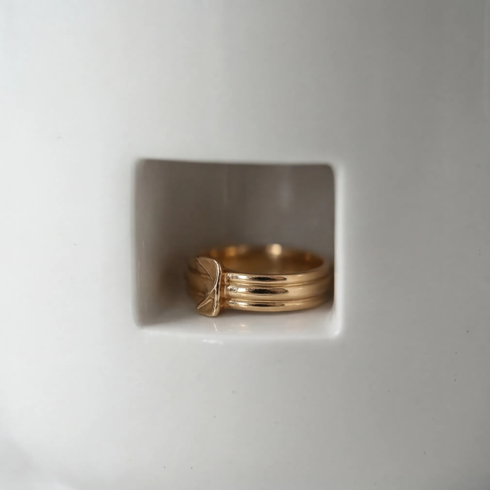 Nisjedetail — Capsule