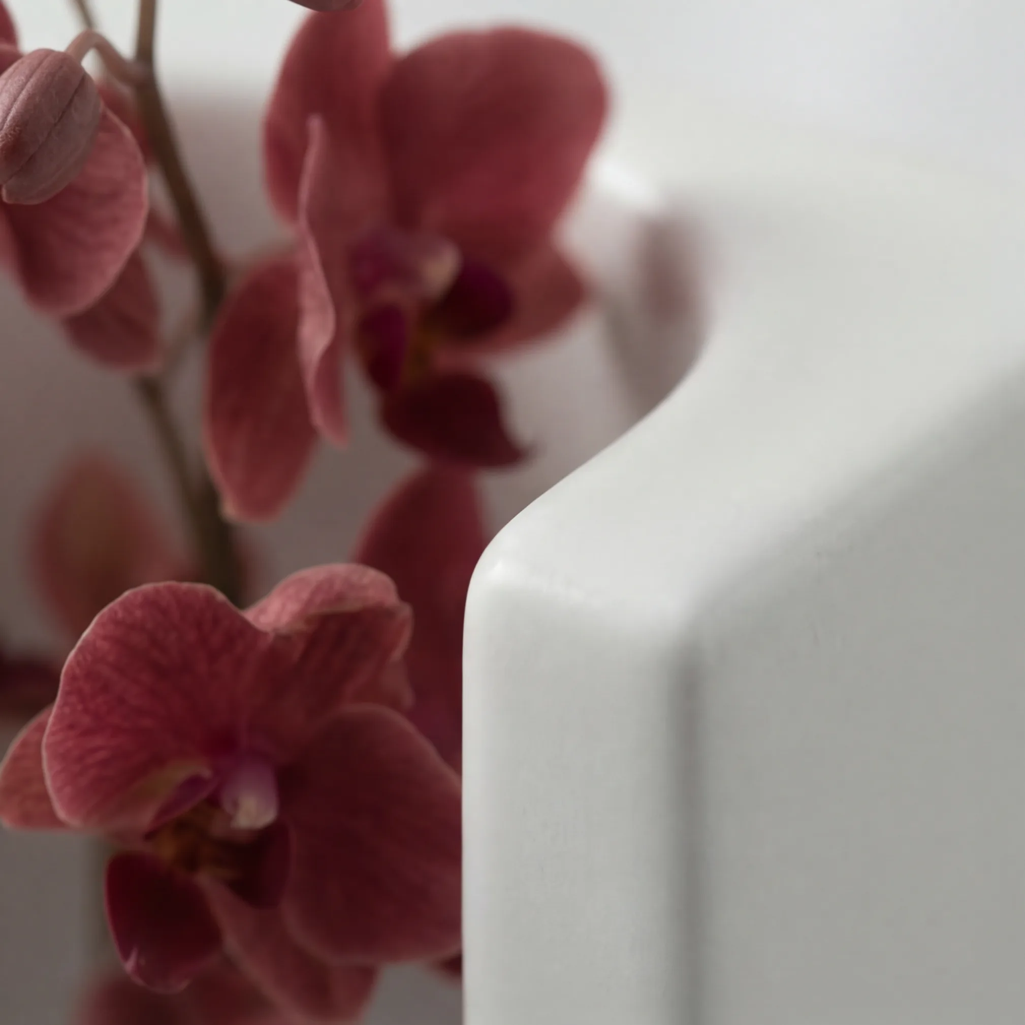 Detailzicht — Still Life