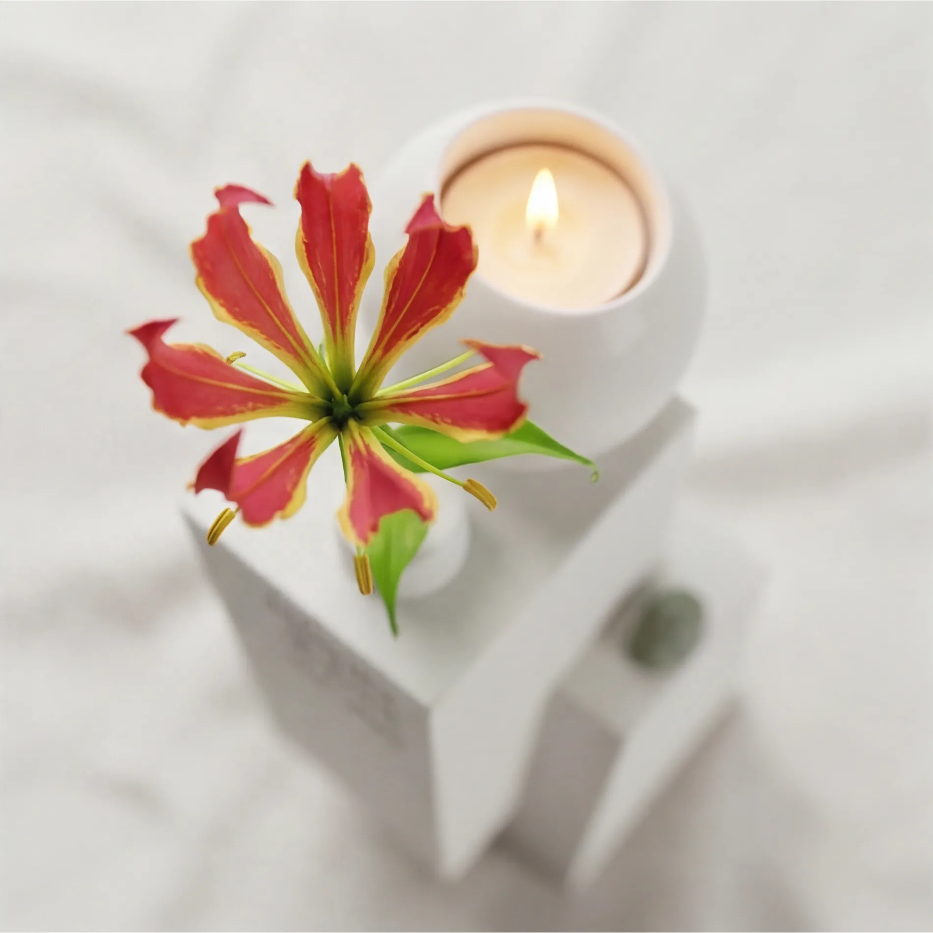 Urna Unica design urn