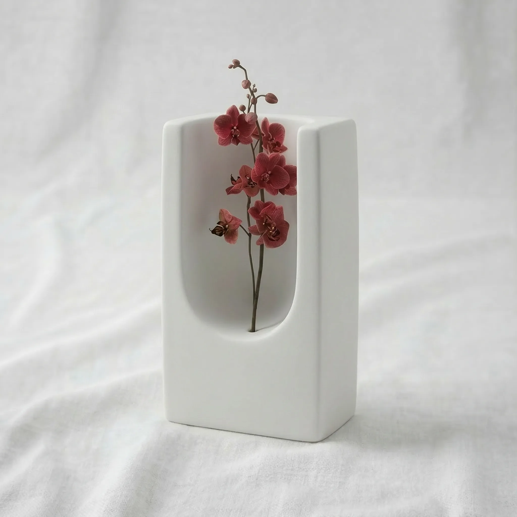 Still Life — Wieki Somers